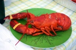 I like lobster, but don't have the courage to kill one
